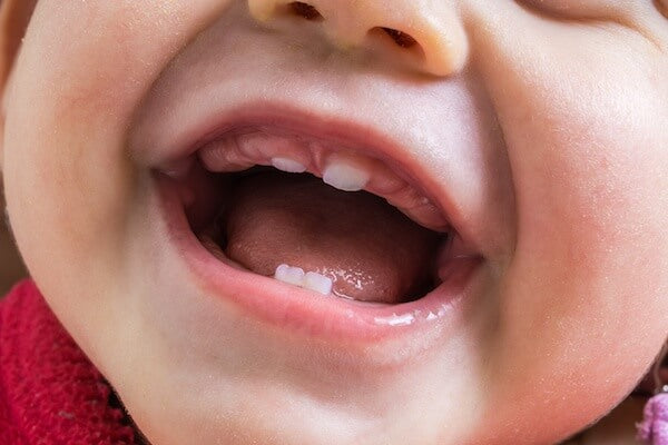 ¿Cómo pueden los bebés masticar solo con los dientes frontales?