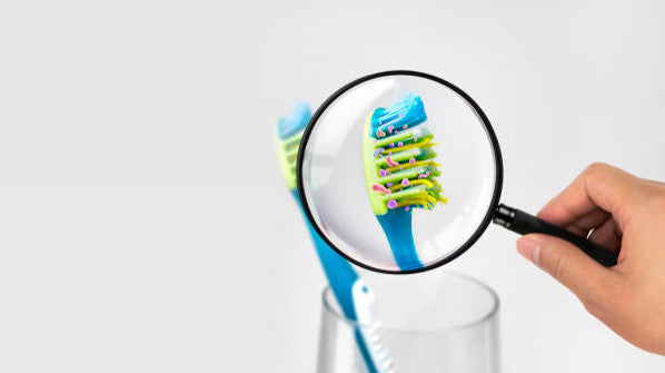 ¿Cuánto tiempo puede sobrevivir el COVID-19 en los cepillos de dientes?